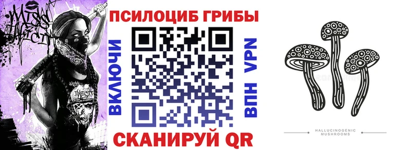 Псилоцибиновые грибы Cubensis  Еманжелинск 